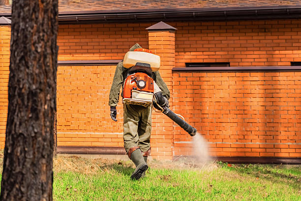 Trusted Rodent Control service in Hemlock Farms, PA - Nex Pest Control